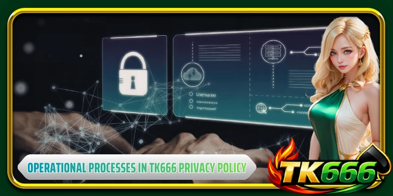 Infrastructure and operational processes in TK666 privacy policy