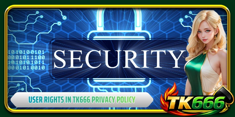 User rights and transparency in TK666 privacy policy